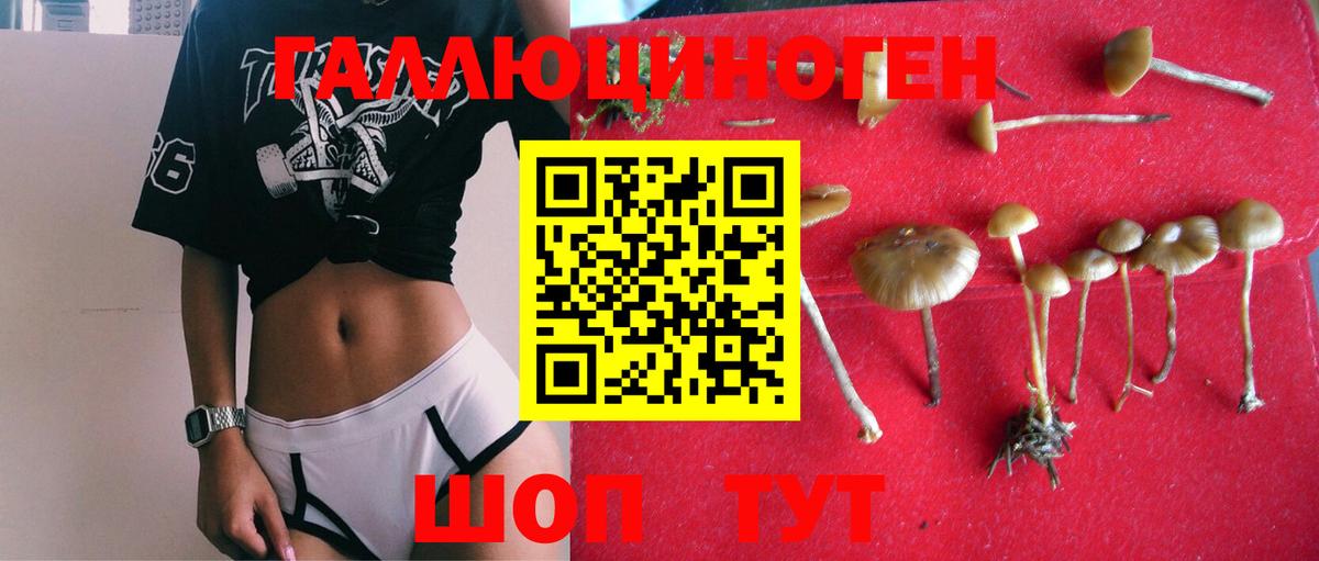 Шарыпово  Галлюциногенные грибы мухоморы  Галлюциногенные грибы ЛСД  Вход с VPN 